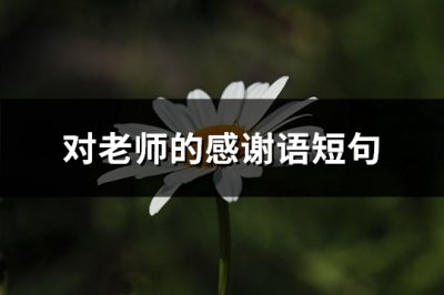 ​对老师的感谢语短句(汇总100句)