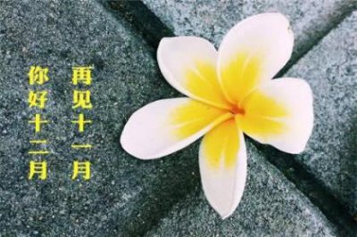 ​仿写季节作文600字 写四个季节的美小学(25句)