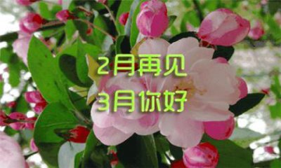 ​古风文案简短仙气 带有仙气的古风句子