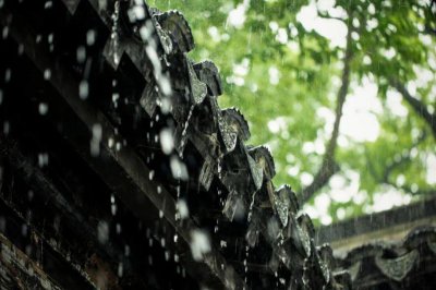 ​赞美春雨的诗句（30句写春雨最好的优美句子）