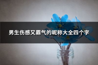 ​男生伤感又霸气的昵称大全四个字(精选1278个)