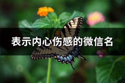 ​表示内心伤感的微信名(精选1021个)