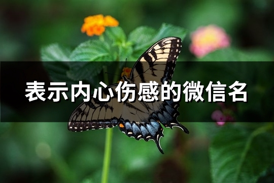 表示内心伤感的微信名(精选1021个)