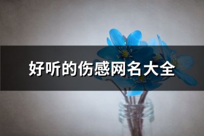 ​好听的伤感网名大全(768个)