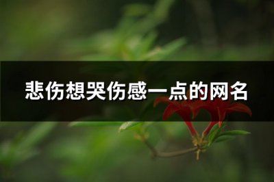 ​悲伤想哭伤感一点的网名(765个)