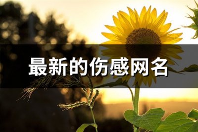 ​最新的伤感网名(优选725个)