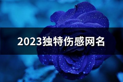 ​2023独特伤感网名(548个)