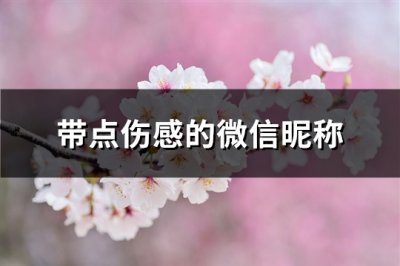 ​带点伤感的微信昵称(优选629个)