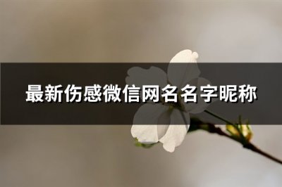 ​最新伤感微信网名名字昵称(精选620个)