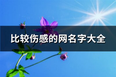 ​比较伤感的网名字大全(共582个)