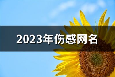 ​2023年伤感网名(精选513个)