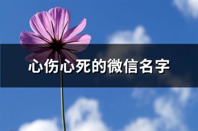 ​心伤心死的微信名字(556个)