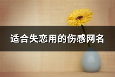 ​适合失恋用的伤感网名(496个)