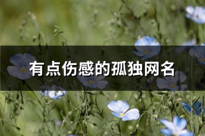 ​有点伤感的孤独网名(优选488个)