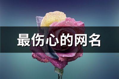 ​最伤心的网名(471个)