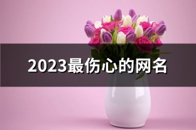 ​2023最伤心的网名(共360个)