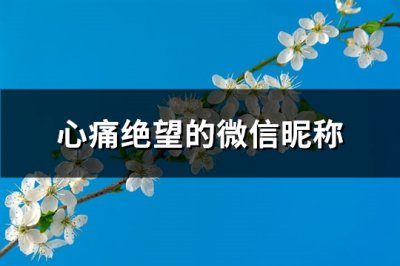 ​心痛绝望的微信昵称(383个)