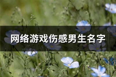 ​网络游戏伤感男生名字(精选367个)