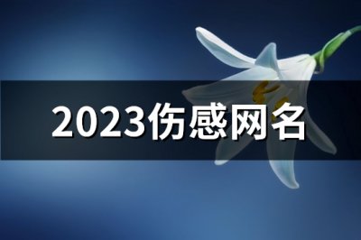 ​2023伤感网名(精选318个)