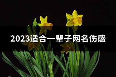 ​2023适合一辈子网名伤感(精选308个)