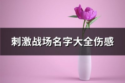 ​刺激战场名字大全伤感(精选332个)