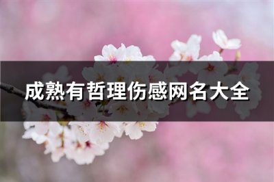 ​成熟有哲理伤感网名大全(优选283个)