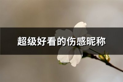 ​超级好看的伤感昵称(302个)