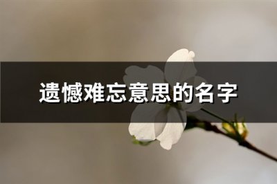 ​遗憾难忘意思的名字(精选273个)