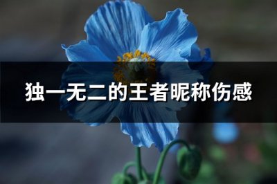 ​独一无二的王者昵称伤感(精选248个)