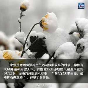 ​离别时发的朋友圈(告别朋友的精美语句)