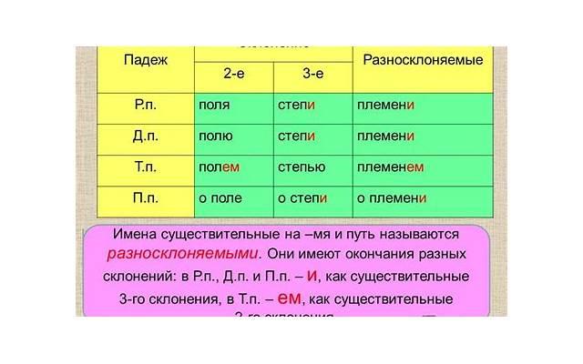 中考竖幅励志标语(中考竖幅励志标语怎么写)